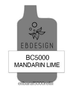 ELFBAR BC5000 вейп за еднократна употреба мандаринов лайм 002RJ6252 - Елф Бар Под