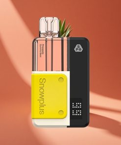 Snowplus Swift 5000 Puffs Ананасова Гумени Мечета българия вейпове Dual Mesh 1000 mAh